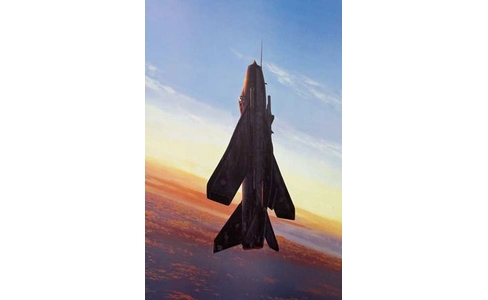 Supersonic Thouroughbred
