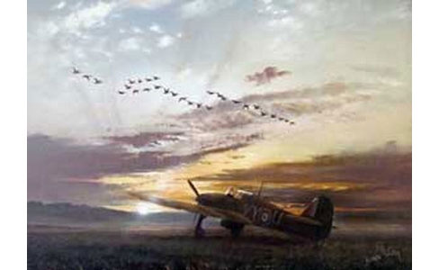 The Fly Past